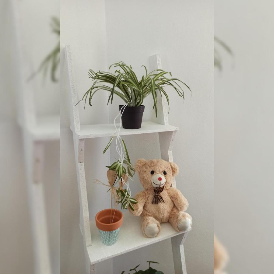 Martha's Place Drac Apartment Podgorica